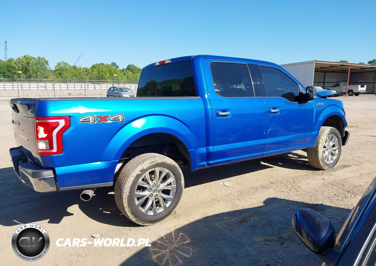 2015 Ford F-150 Xlt VIN:1FTEW1EG9FFC71516 - 13