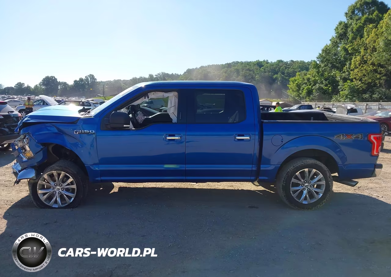 2015 Ford F-150 Xlt VIN:1FTEW1EG9FFC71516 - 14