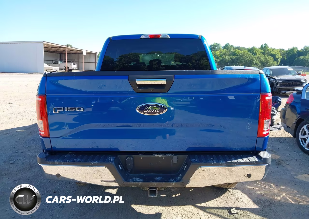 2015 Ford F-150 Xlt VIN:1FTEW1EG9FFC71516 - 16