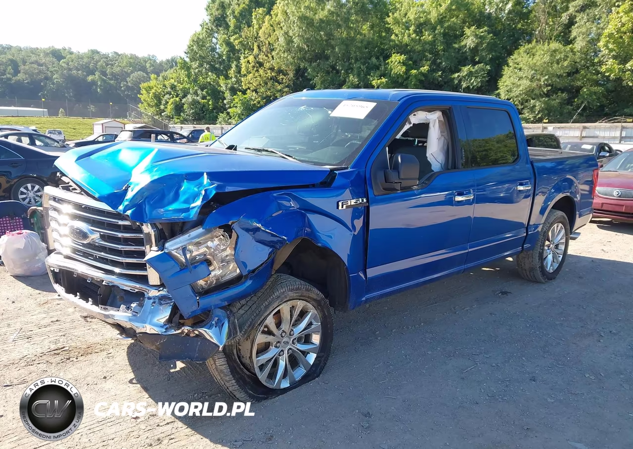 2015 Ford F-150 Xlt VIN:1FTEW1EG9FFC71516 - 2