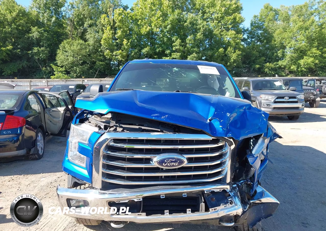 2015 Ford F-150 Xlt VIN:1FTEW1EG9FFC71516 - 6