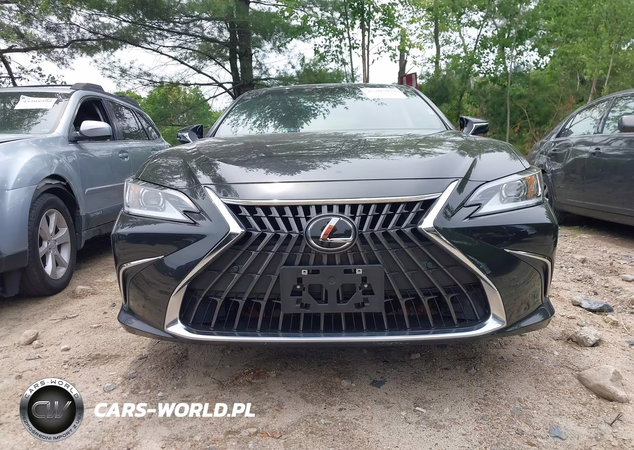 2022 Lexus Es 350 VIN:58ADZ1B15NU126880 - 13