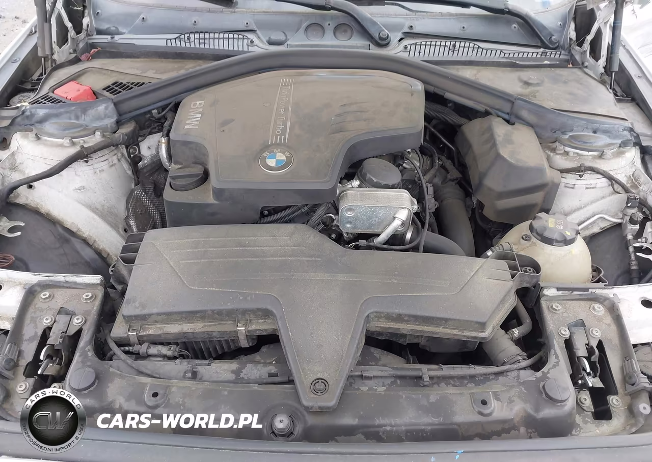 2016 BMW 228I VIN:WBA1F9C56GV546052 - 10