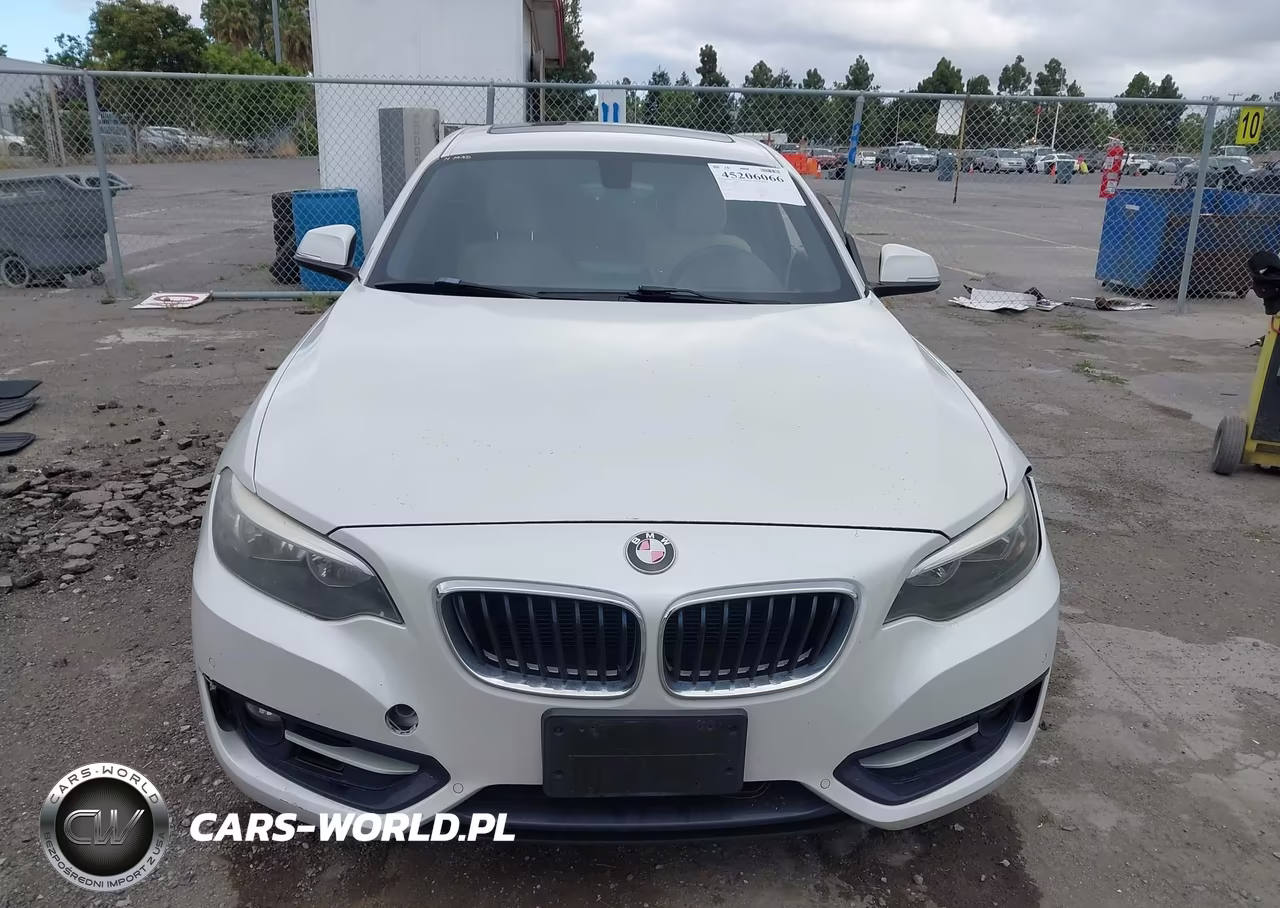 2016 BMW 228I VIN:WBA1F9C56GV546052 - 12
