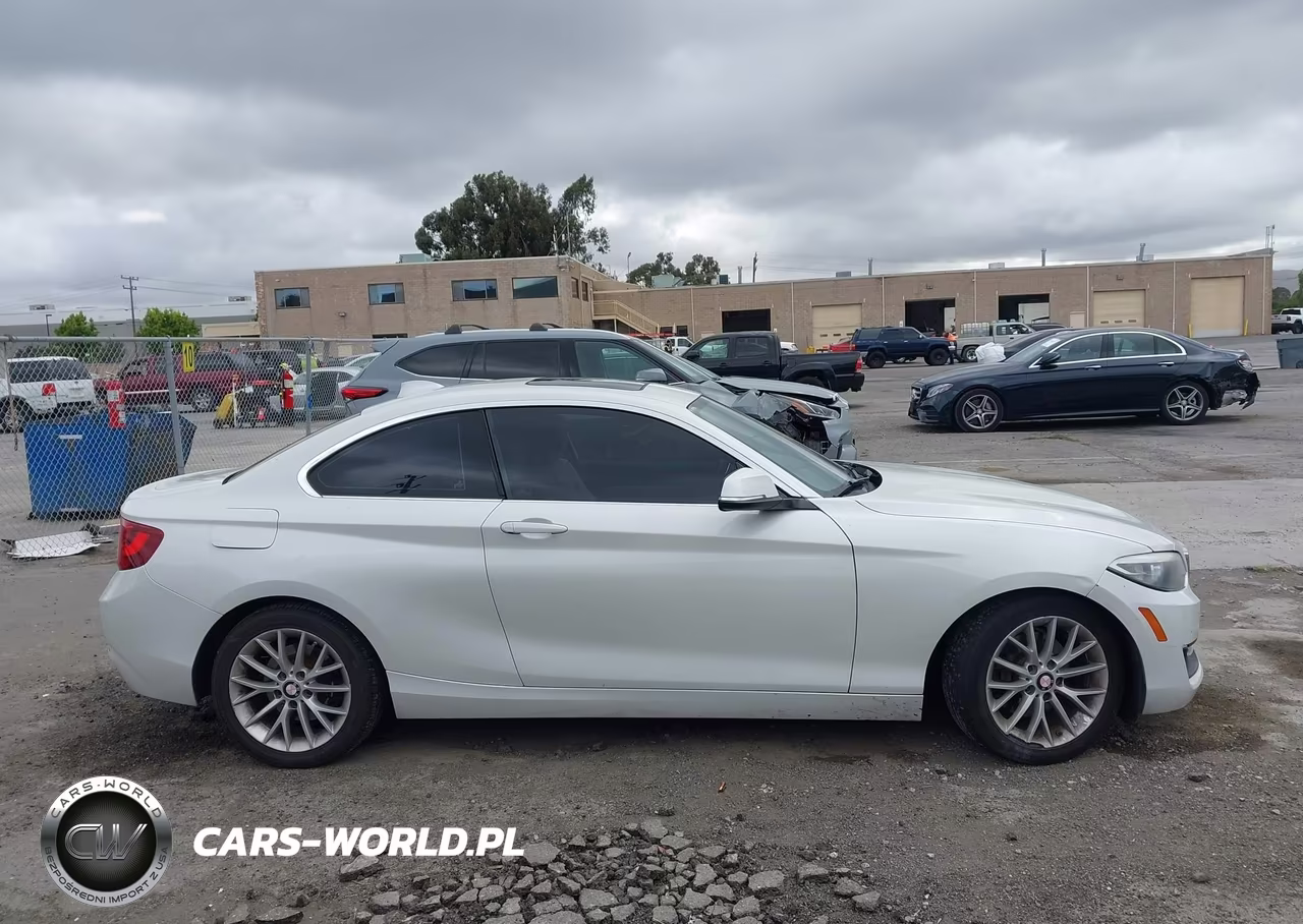2016 BMW 228I VIN:WBA1F9C56GV546052 - 13