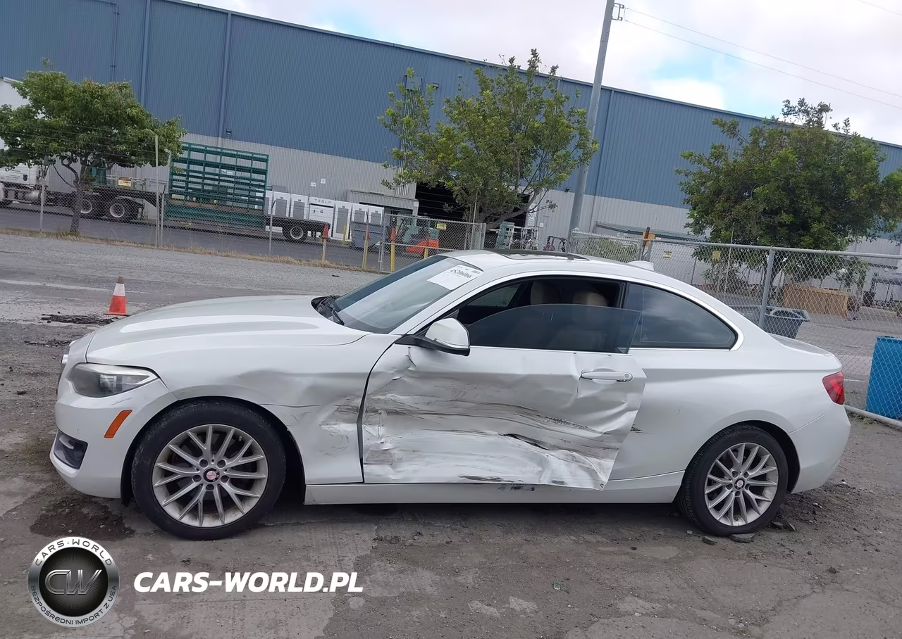 2016 BMW 228I VIN:WBA1F9C56GV546052 - 14