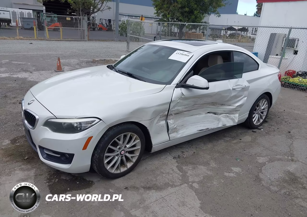 2016 BMW 228I VIN:WBA1F9C56GV546052 - 2
