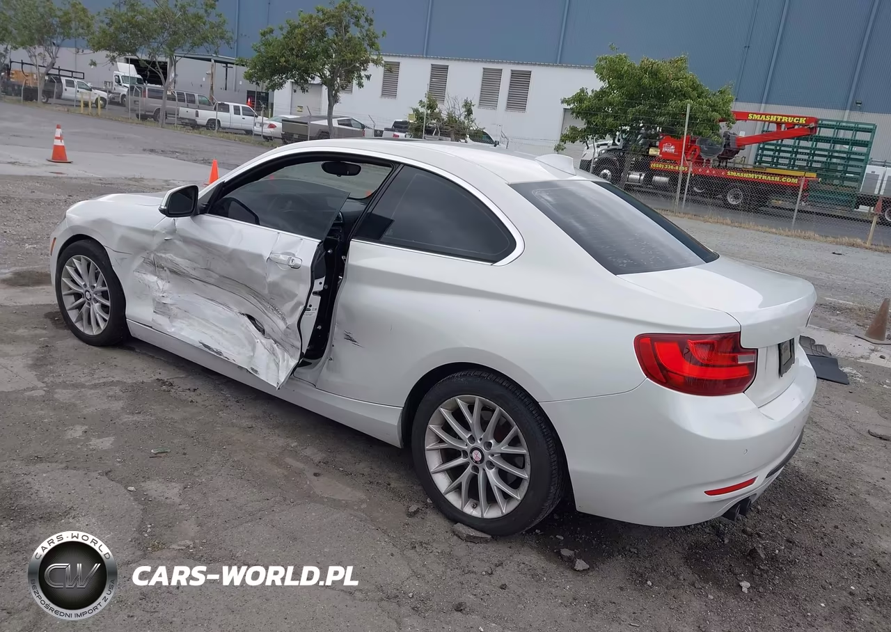 2016 BMW 228I VIN:WBA1F9C56GV546052 - 3