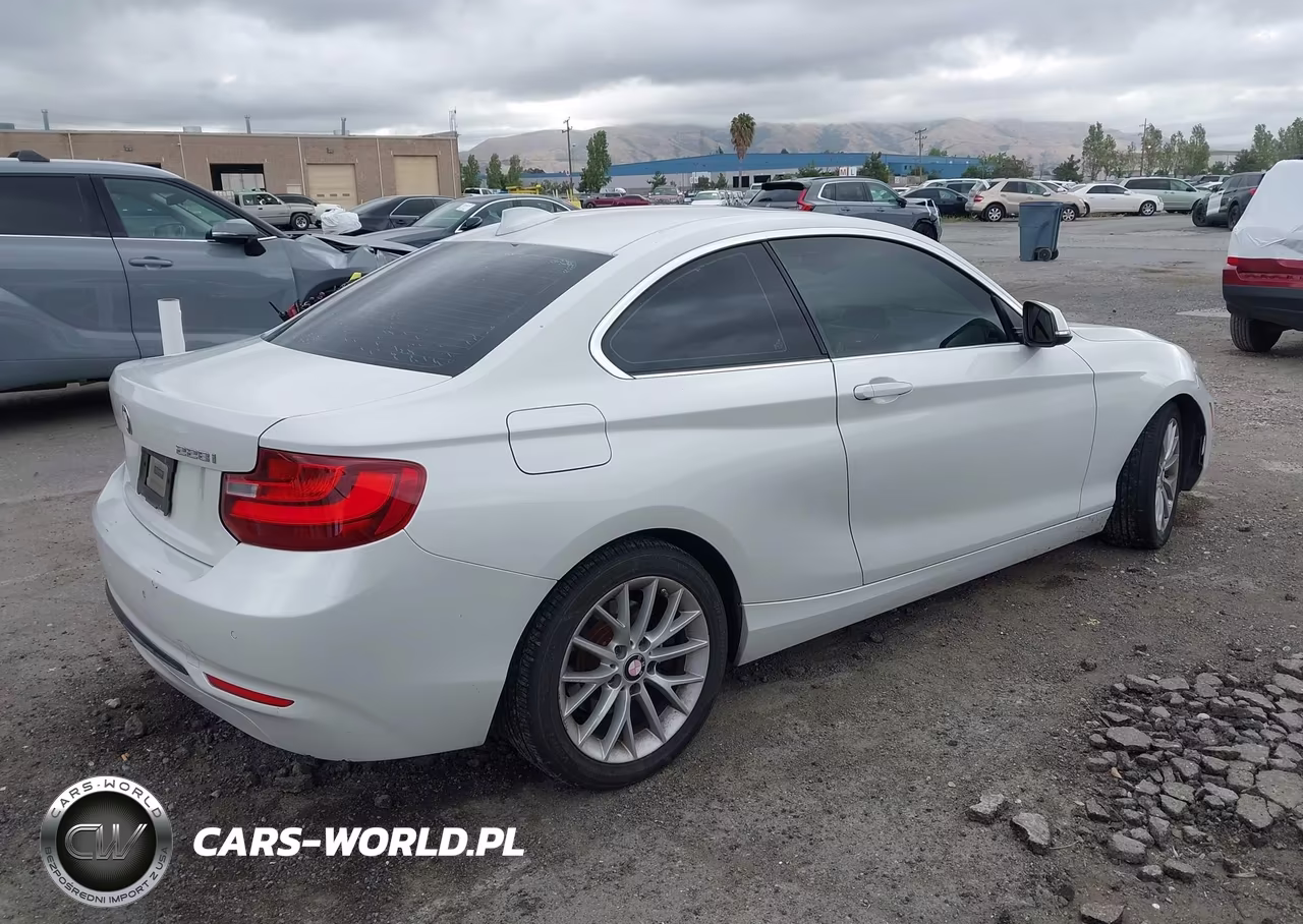 2016 BMW 228I VIN:WBA1F9C56GV546052 - 4