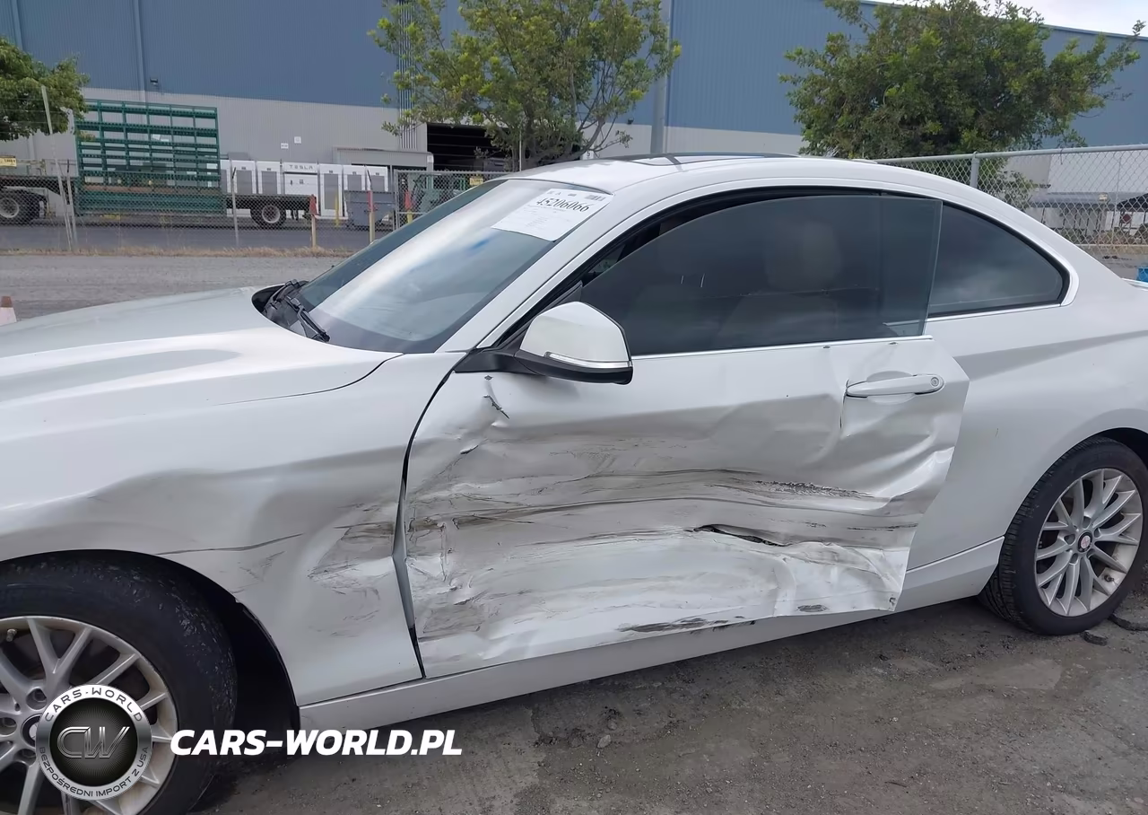 2016 BMW 228I VIN:WBA1F9C56GV546052 - 6
