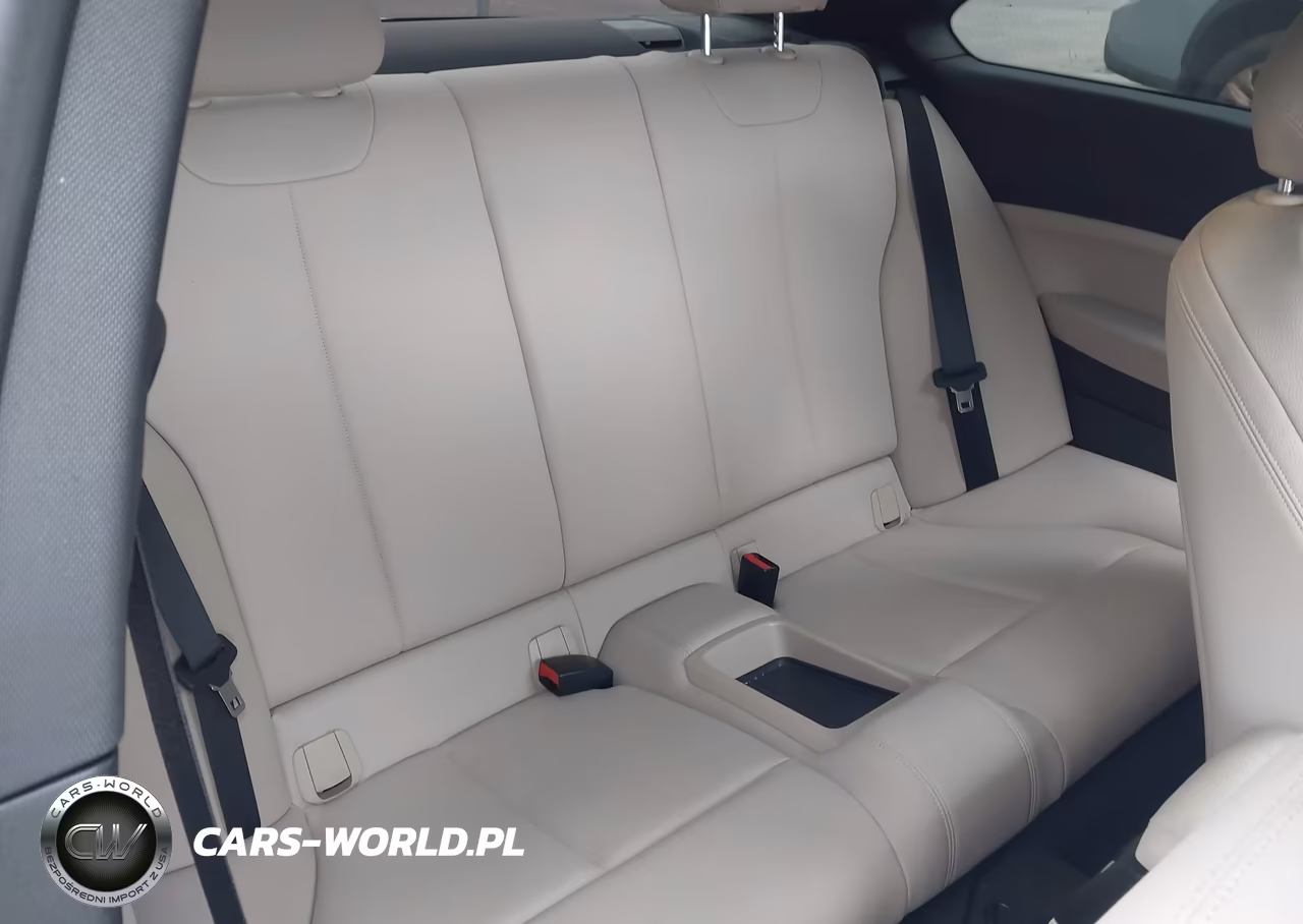 2016 BMW 228I VIN:WBA1F9C56GV546052 - 8