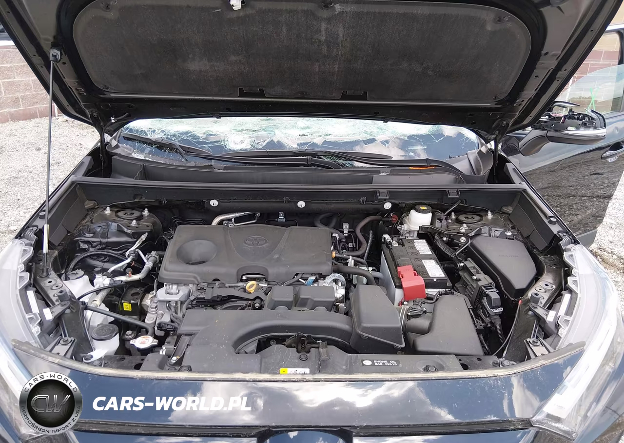 2025 Toyota Rav4 Xle VIN:2T3P1RFV3SC501385 - 10
