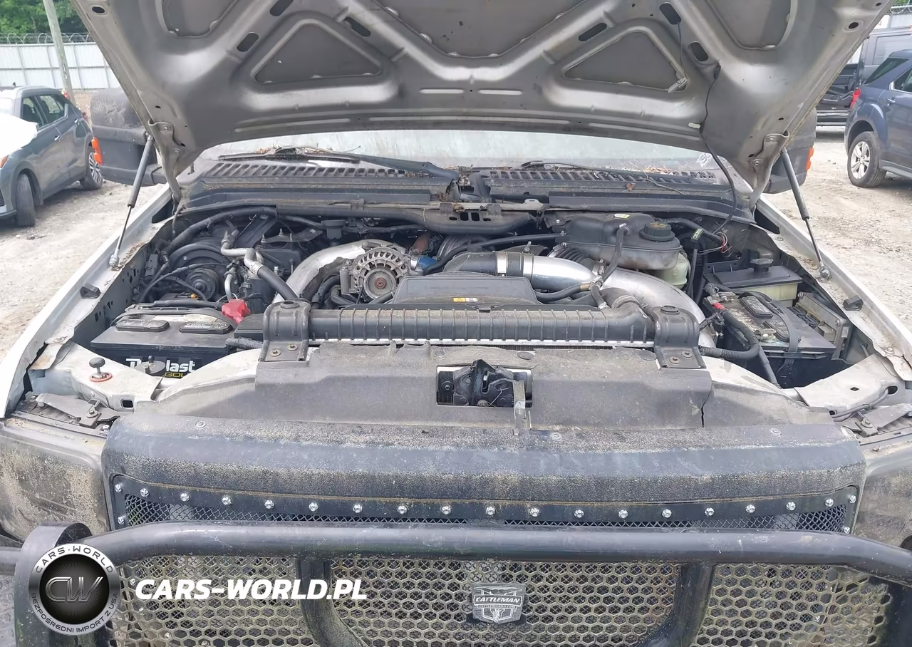 2003 Ford F-250 Lariat-Xl-Xlt VIN:1FTNX21P93ED10681 - 10