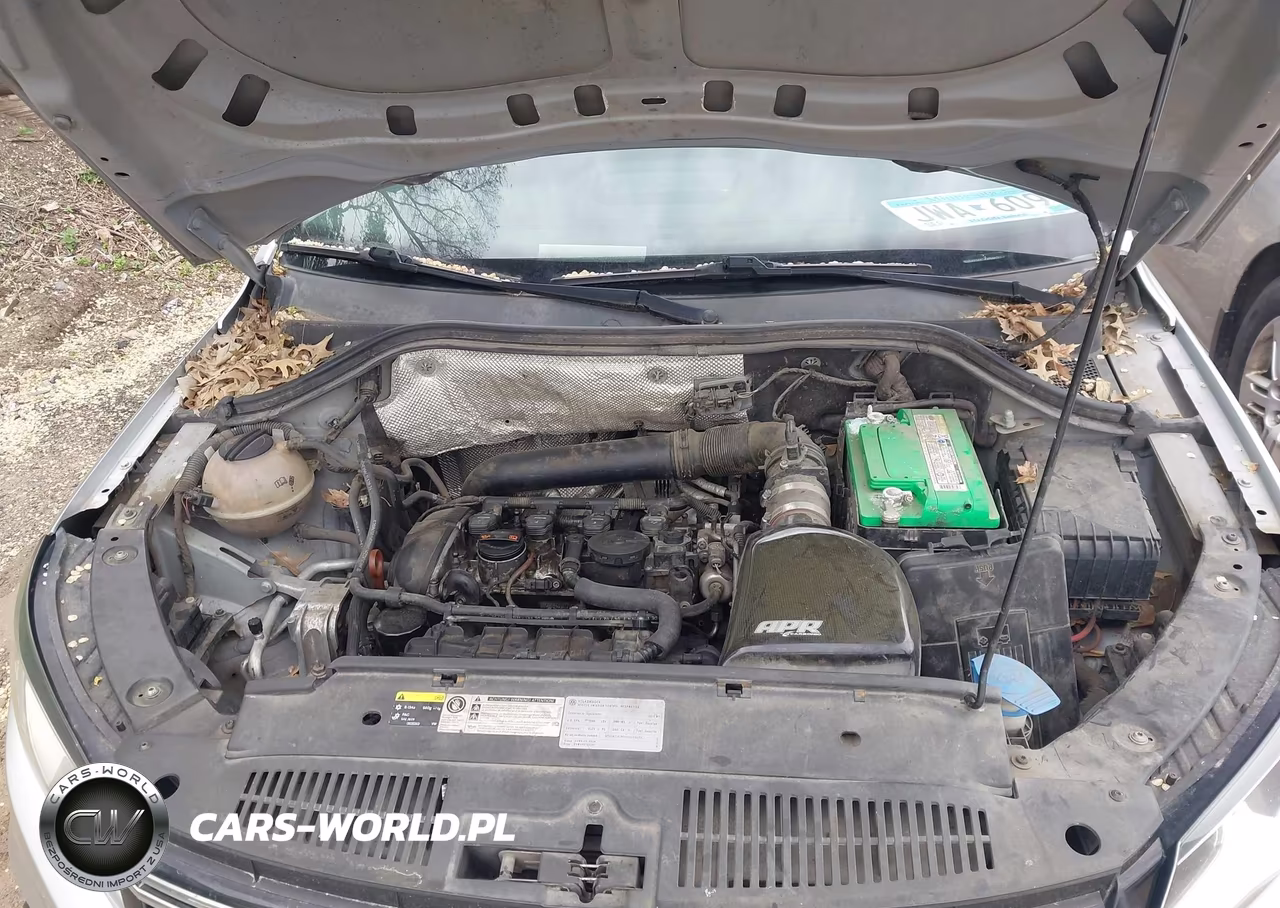 2013 Volkswagen Tiguan Se VIN:WVGAV3AX0DW594722 - 10