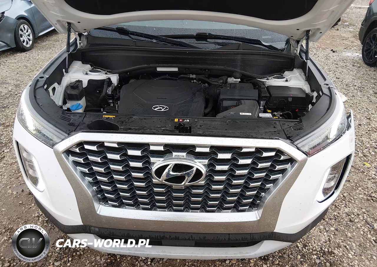 2020 Hyundai Palisade Sel VIN:KM8R24HE2LU119928 - 10