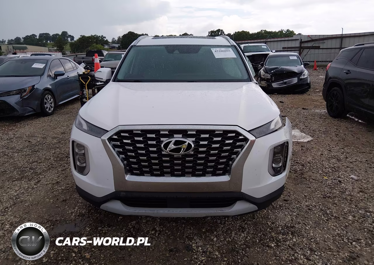 2020 Hyundai Palisade Sel VIN:KM8R24HE2LU119928 - 12