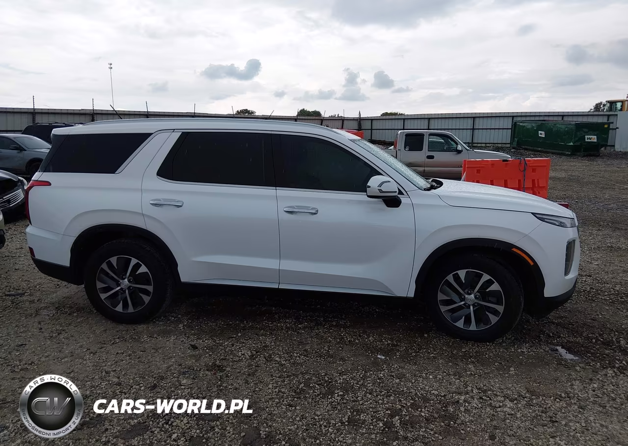 2020 Hyundai Palisade Sel VIN:KM8R24HE2LU119928 - 13