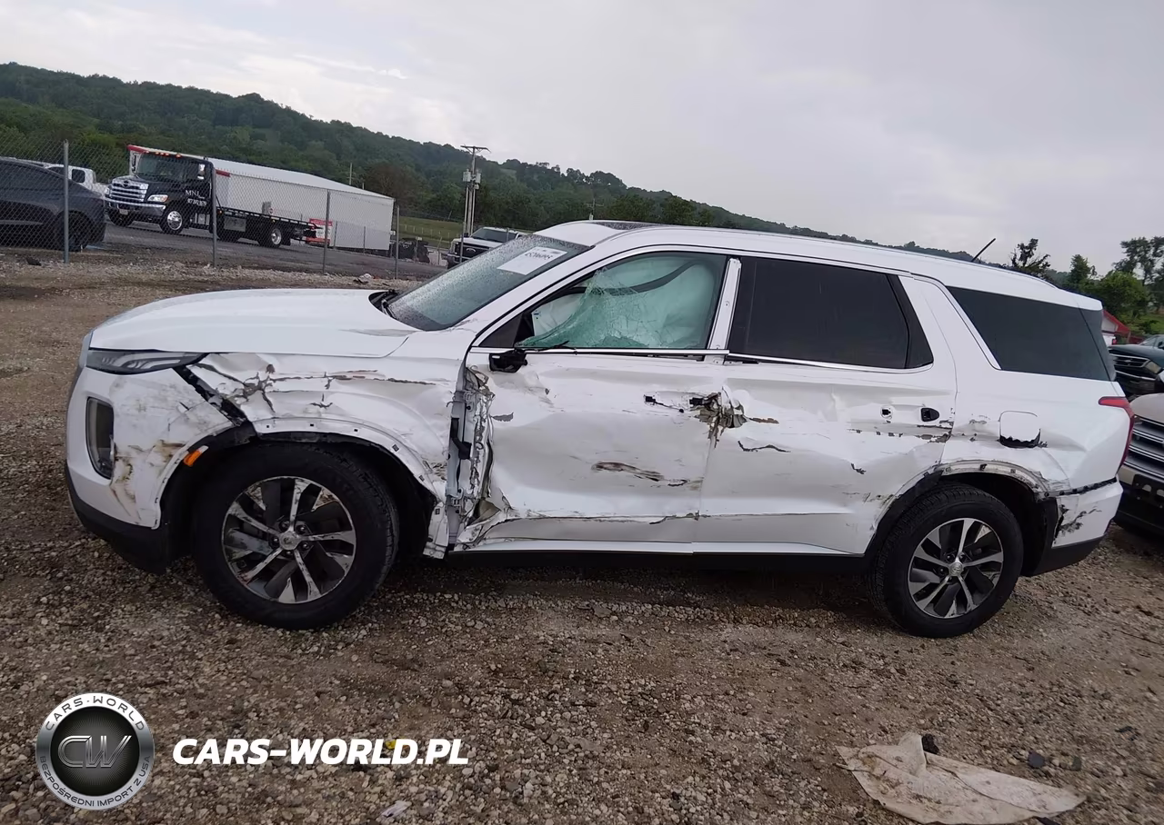 2020 Hyundai Palisade Sel VIN:KM8R24HE2LU119928 - 14