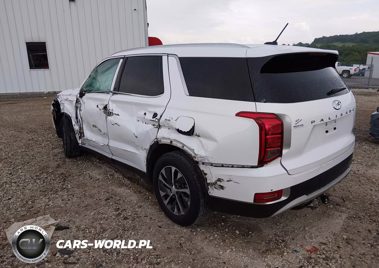 2020 Hyundai Palisade Sel VIN:KM8R24HE2LU119928 - 3