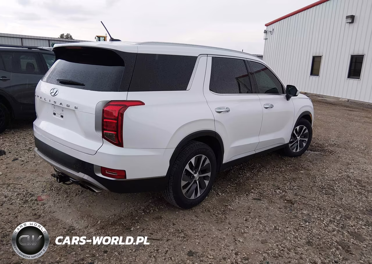 2020 Hyundai Palisade Sel VIN:KM8R24HE2LU119928 - 4