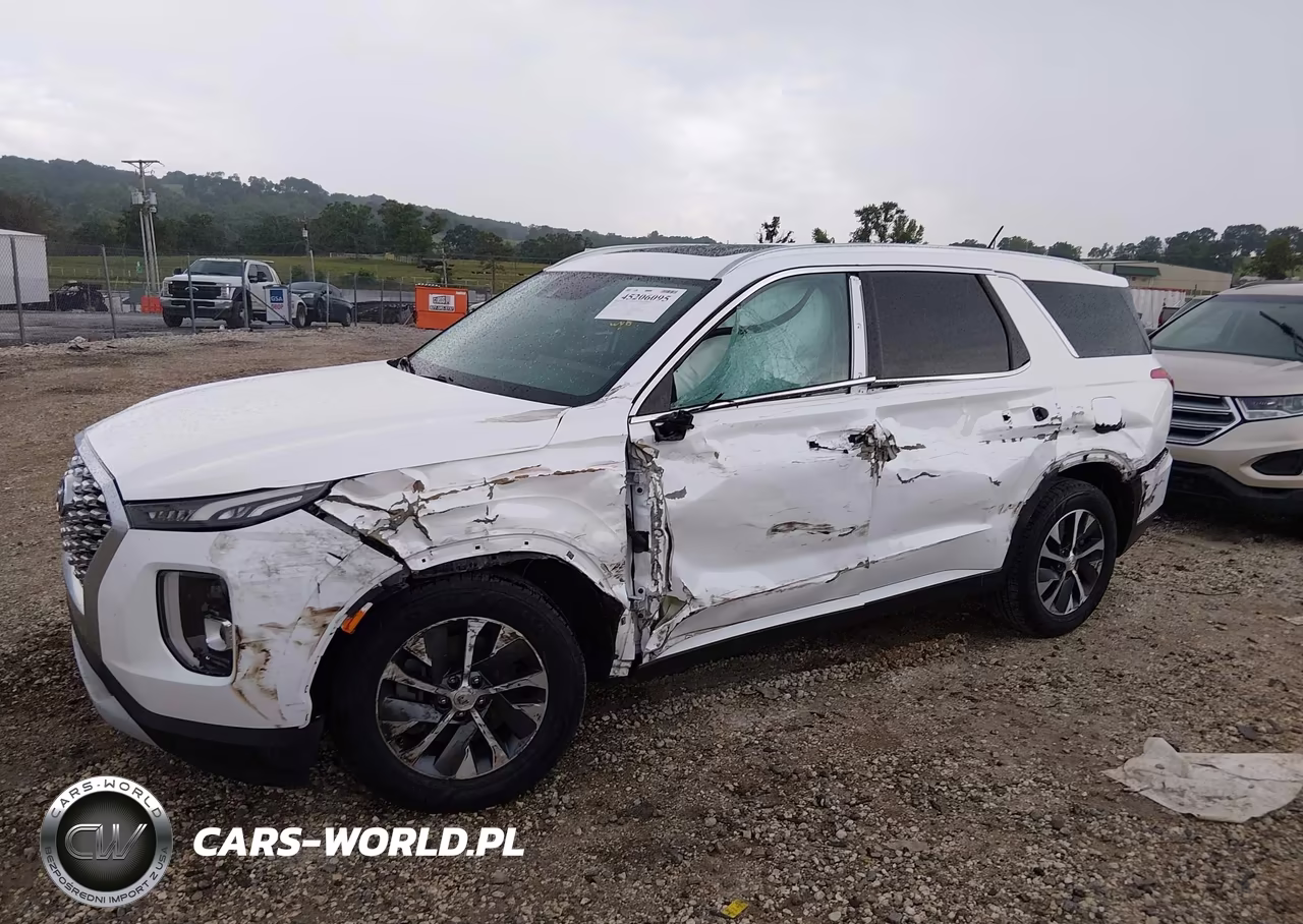 2020 Hyundai Palisade Sel VIN:KM8R24HE2LU119928 - 6