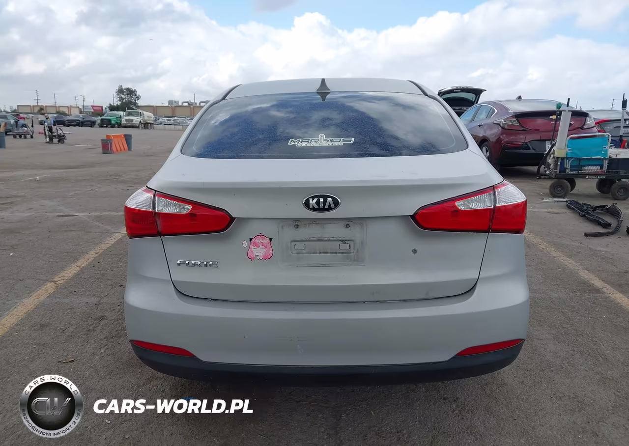 2014 Kia Forte Lx VIN:KNAFK4A62E5055457 - 17