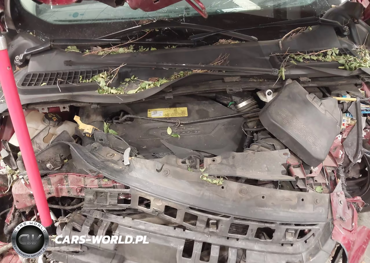 2013 Ford Escape Sel VIN:1FMCU0HX6DUC69584 - 10