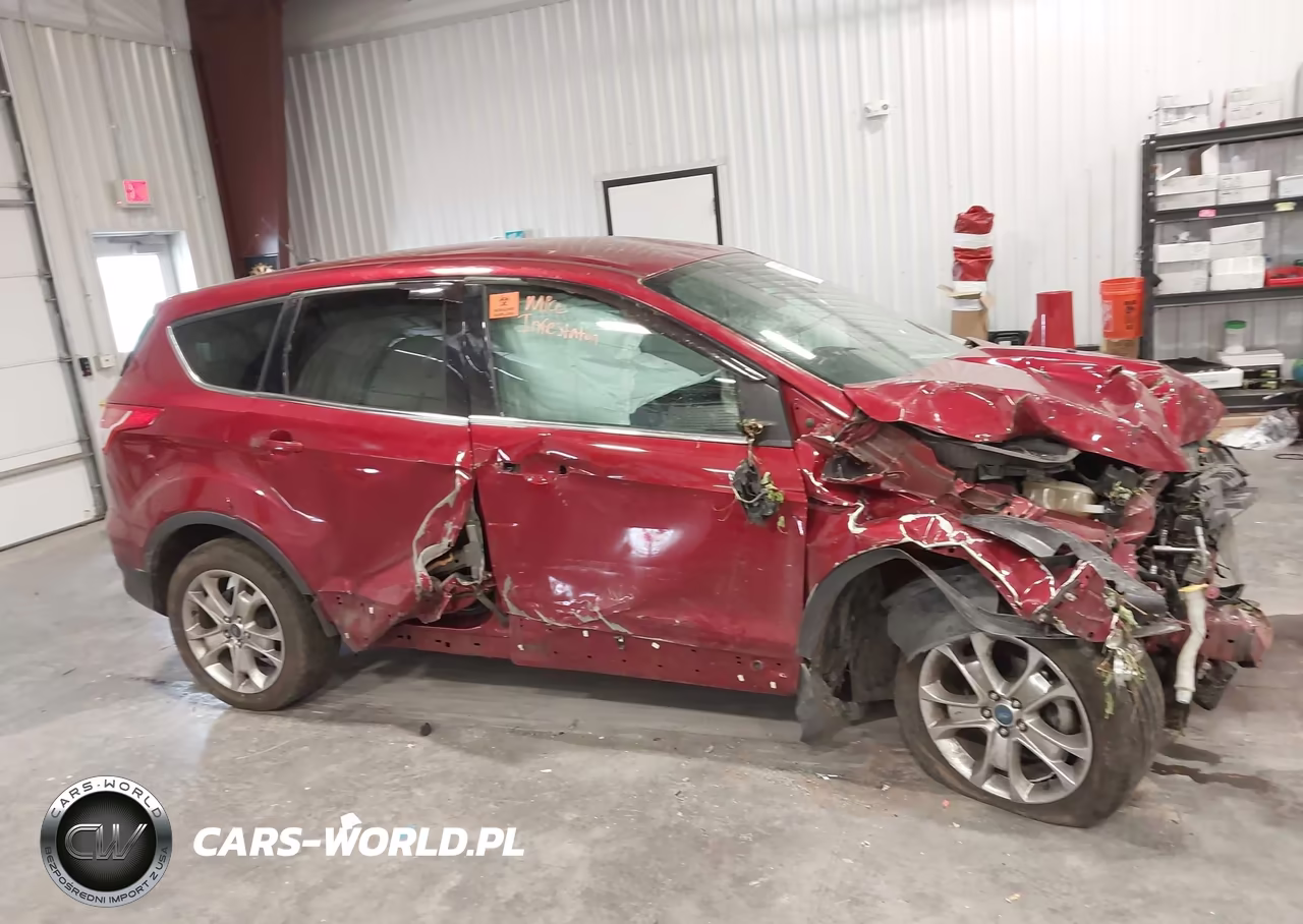 2013 Ford Escape Sel VIN:1FMCU0HX6DUC69584 - 13