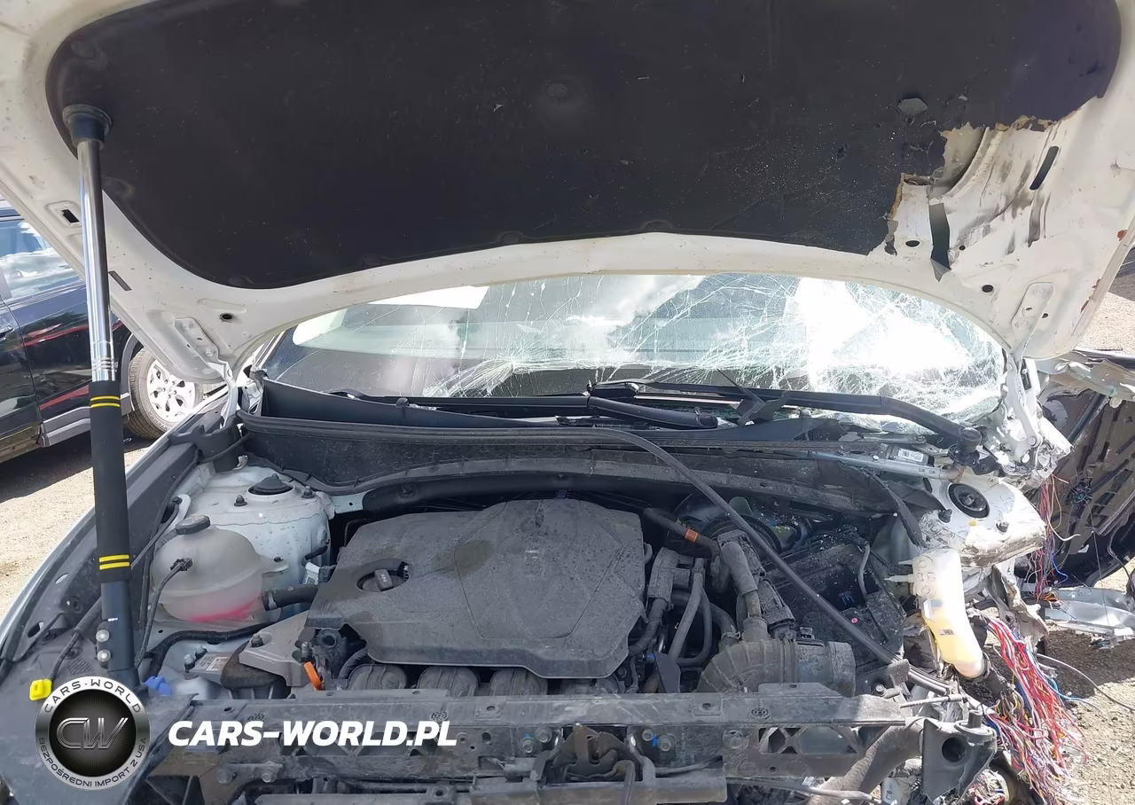 2024 Hyundai Tucson Limited VIN:5NMJECDEXRH319237 - 10