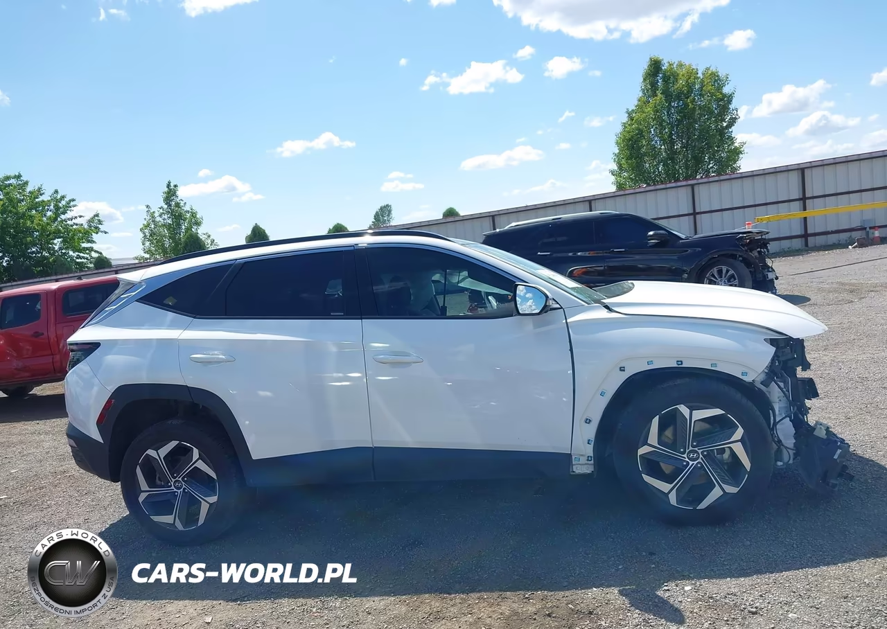 2024 Hyundai Tucson Limited VIN:5NMJECDEXRH319237 - 14