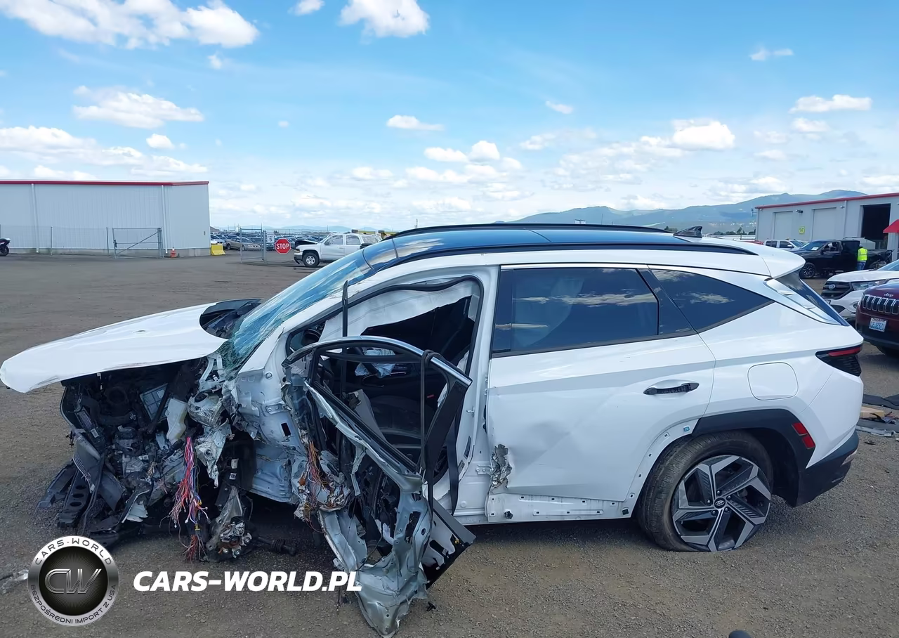 2024 Hyundai Tucson Limited VIN:5NMJECDEXRH319237 - 15