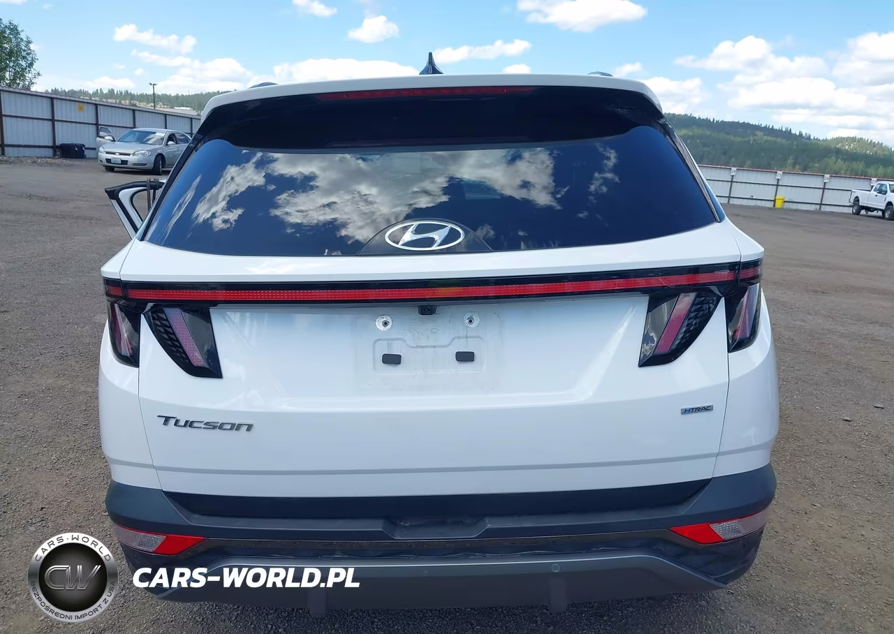 2024 Hyundai Tucson Limited VIN:5NMJECDEXRH319237 - 17
