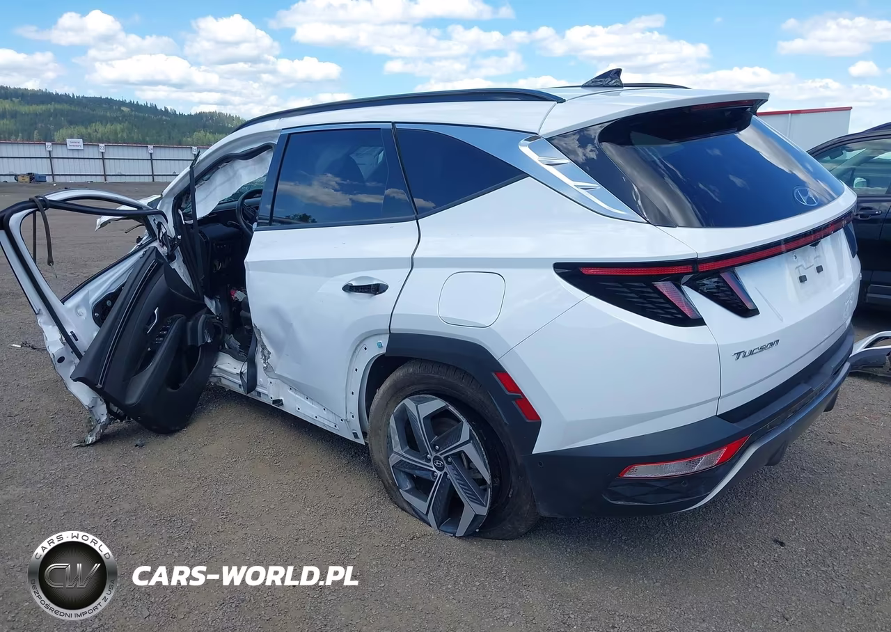 2024 Hyundai Tucson Limited VIN:5NMJECDEXRH319237 - 3