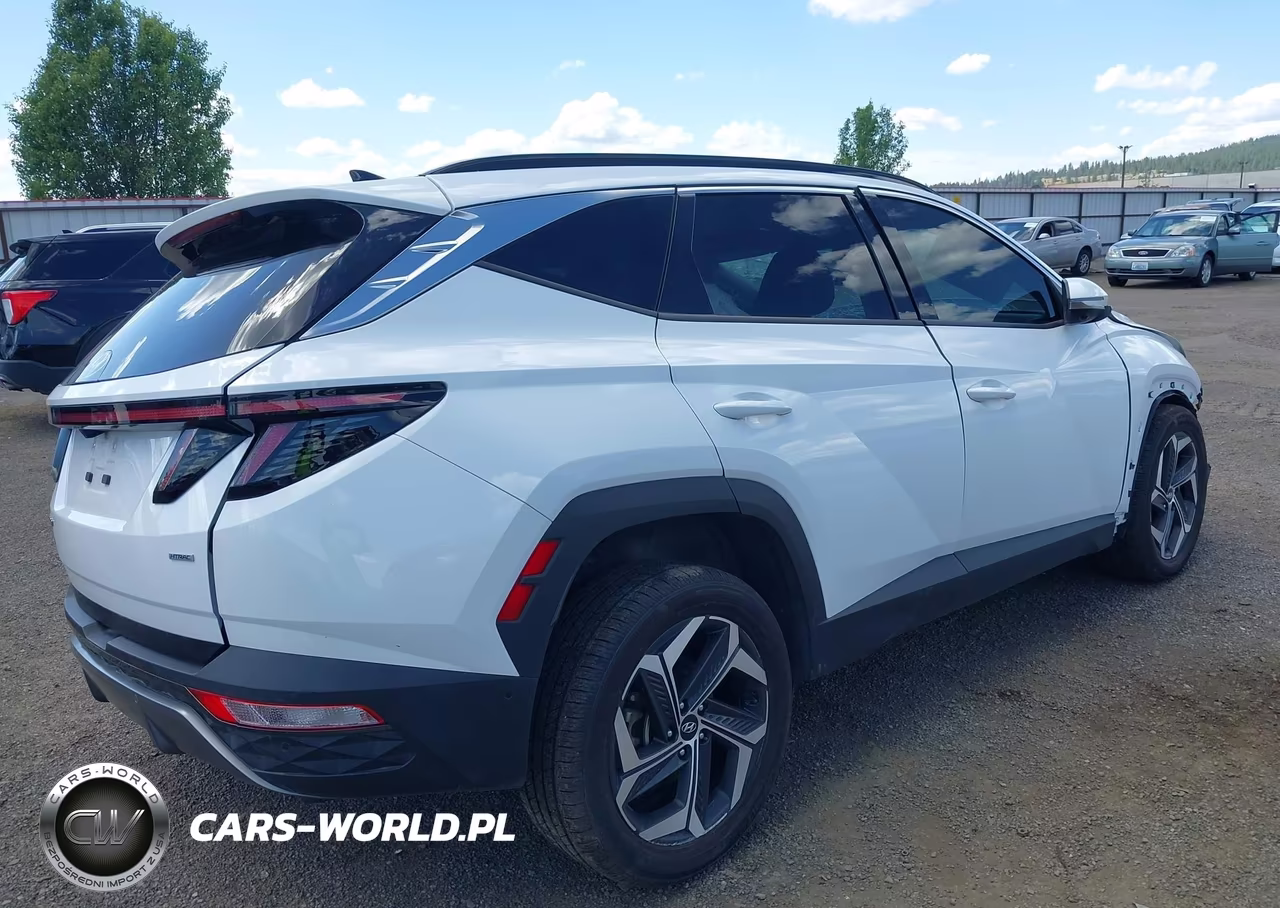 2024 Hyundai Tucson Limited VIN:5NMJECDEXRH319237 - 4
