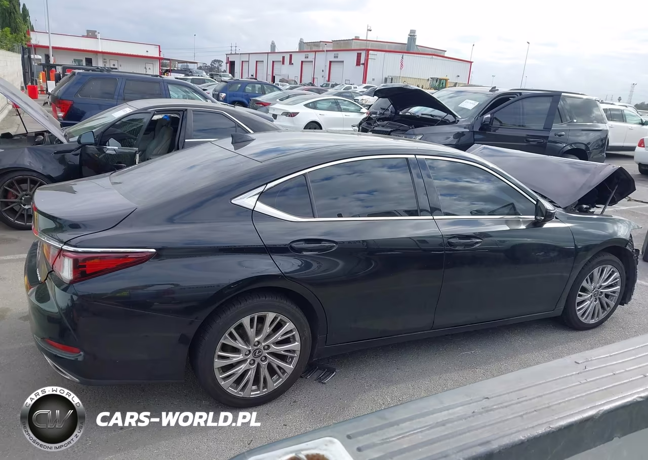 2019 Lexus Es 350 VIN:58ABZ1B15KU049012 - 13