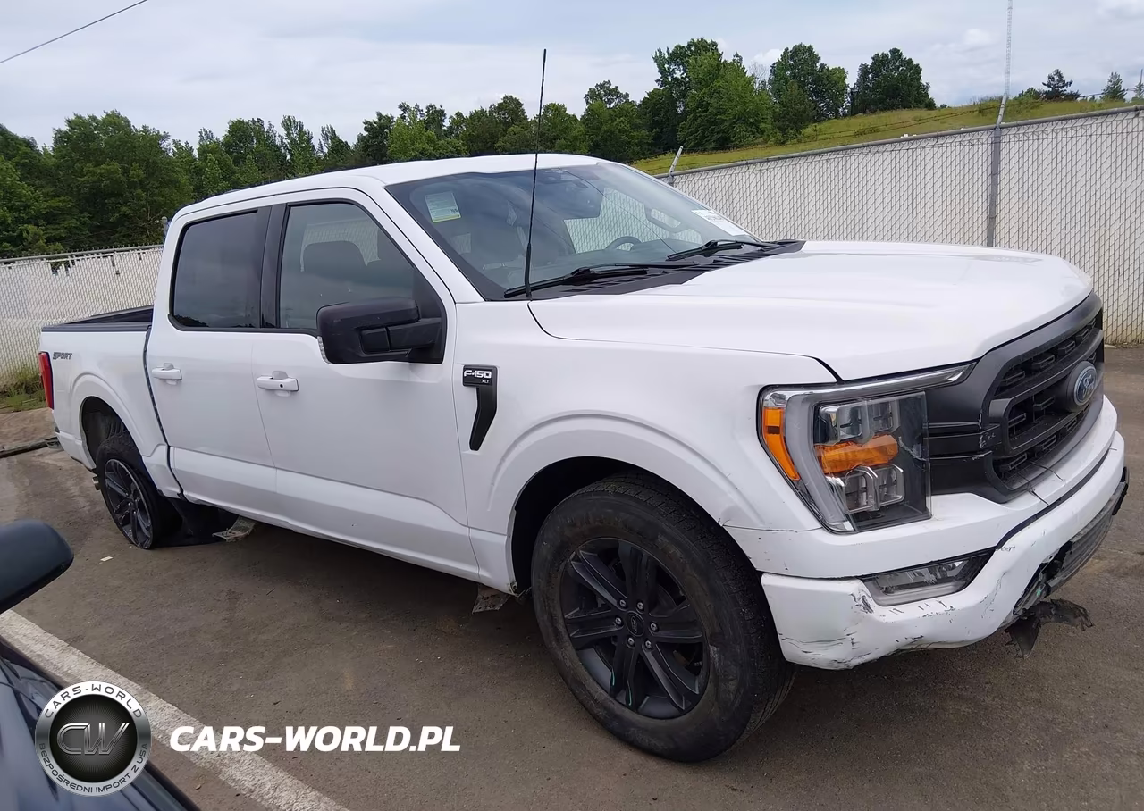 2023 Ford F-150 Xlt VIN:1FTEW1C58PFC09141 - 14