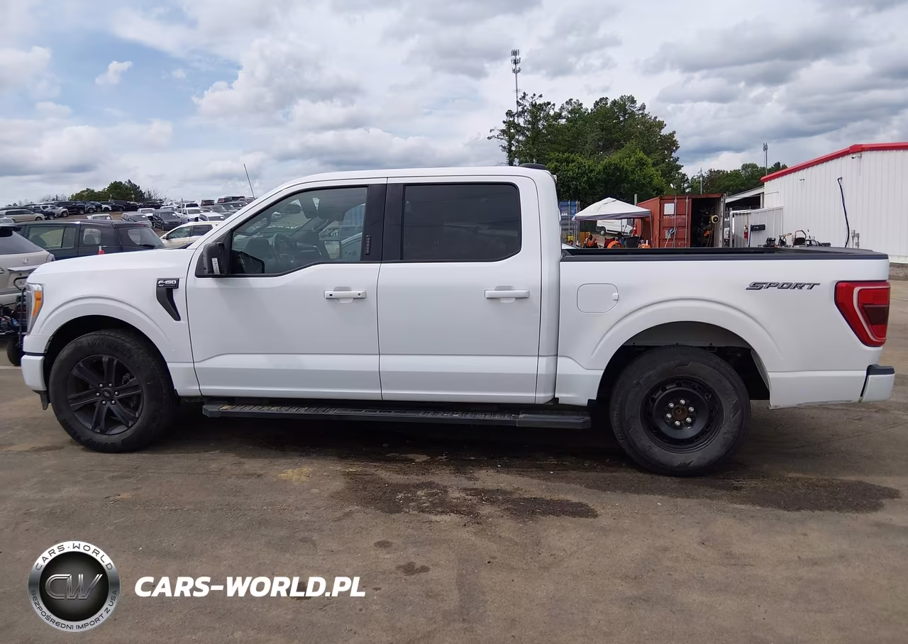 2023 Ford F-150 Xlt VIN:1FTEW1C58PFC09141 - 15