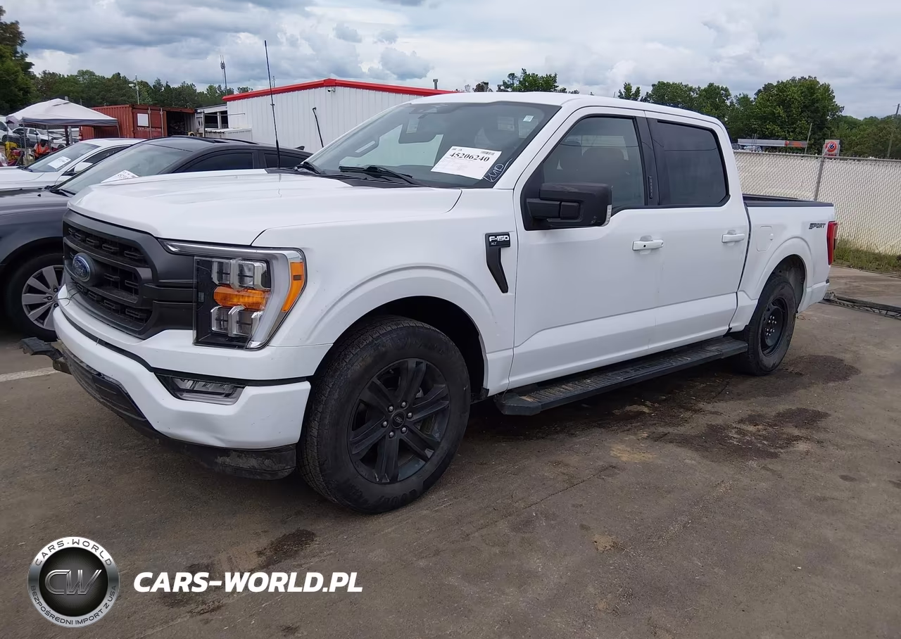 2023 Ford F-150 Xlt VIN:1FTEW1C58PFC09141 - 2