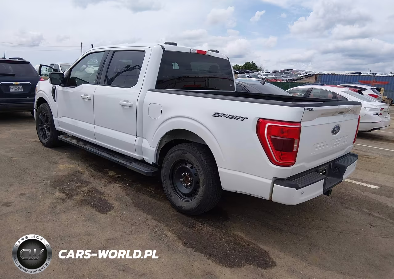 2023 Ford F-150 Xlt VIN:1FTEW1C58PFC09141 - 3