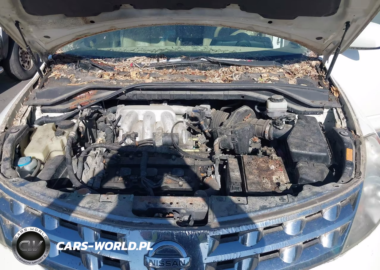 2005 Nissan Murano Sl VIN:JN8AZ08W25W418894 - 10