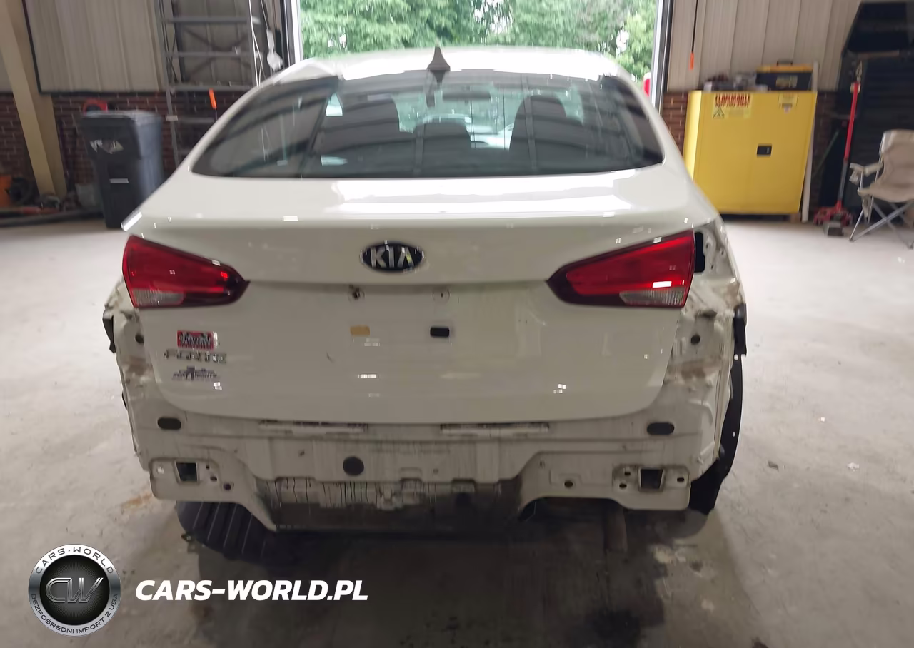 2017 Kia Forte Lx VIN:3KPFK4A78HE094753 - 17
