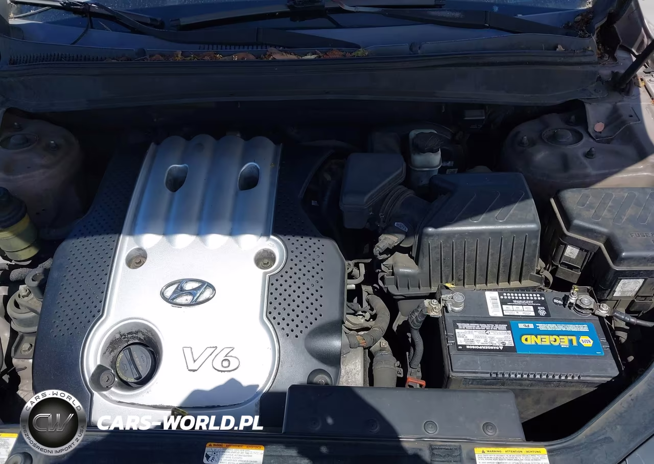 2007 Hyundai Santa Fe Gls VIN:5NMSG13D77H048436 - 10