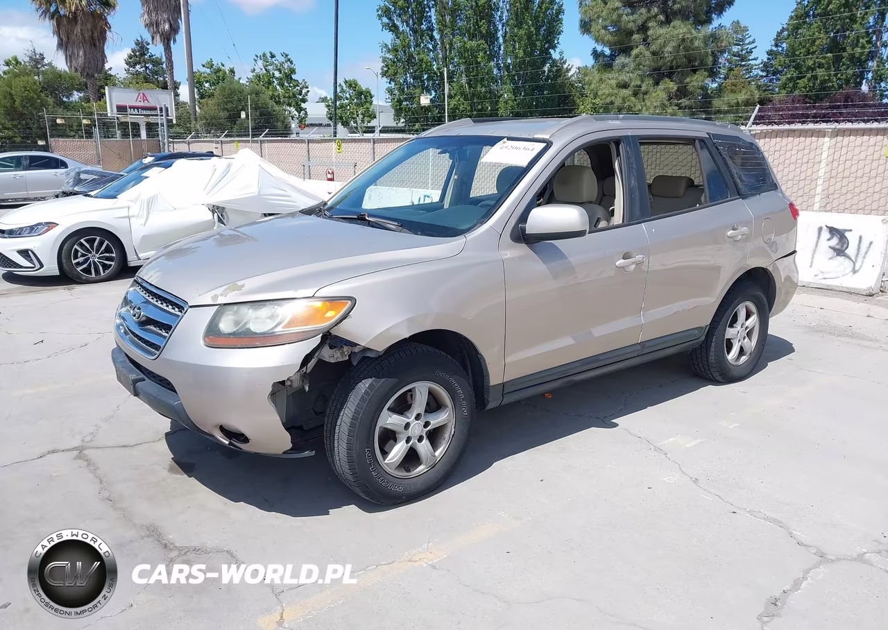 2007 Hyundai Santa Fe Gls VIN:5NMSG13D77H048436 - 2