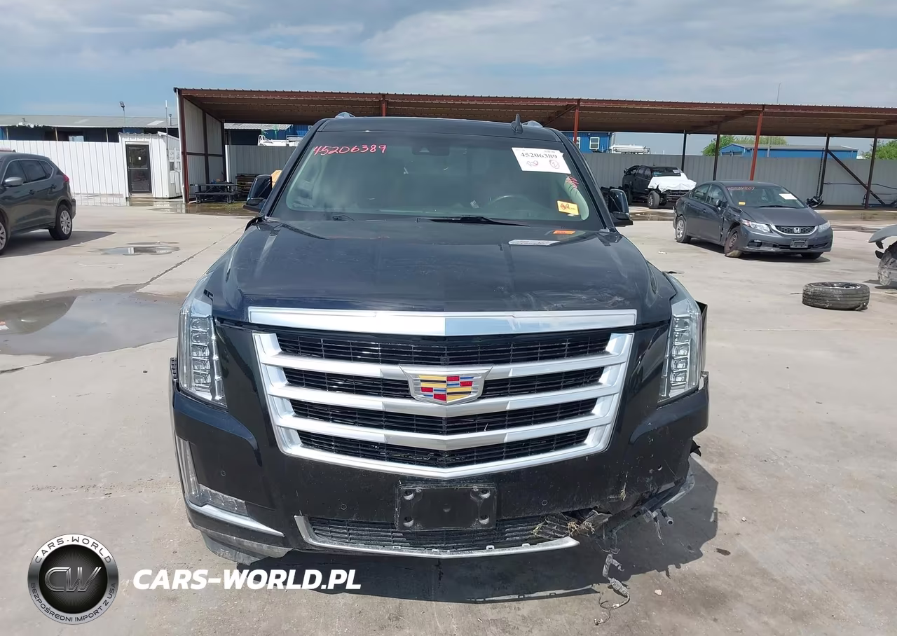 2019 Cadillac Escalade Luxury VIN:1GYS3BKJ1KR224081 - 12