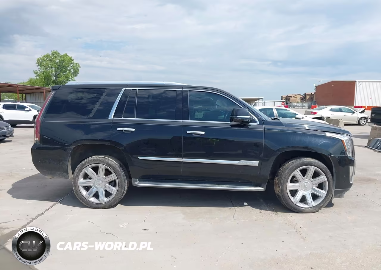 2019 Cadillac Escalade Luxury VIN:1GYS3BKJ1KR224081 - 13
