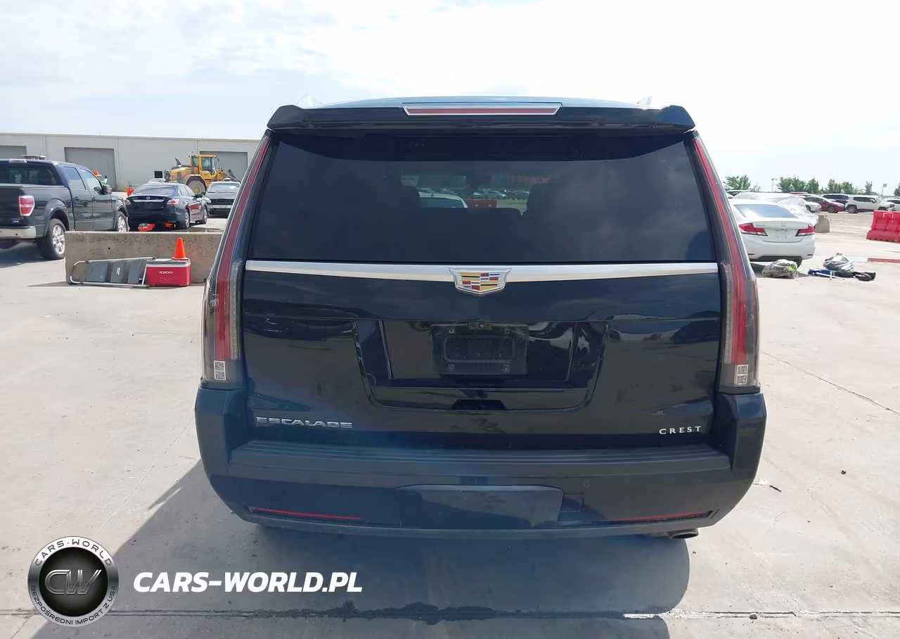 2019 Cadillac Escalade Luxury VIN:1GYS3BKJ1KR224081 - 16