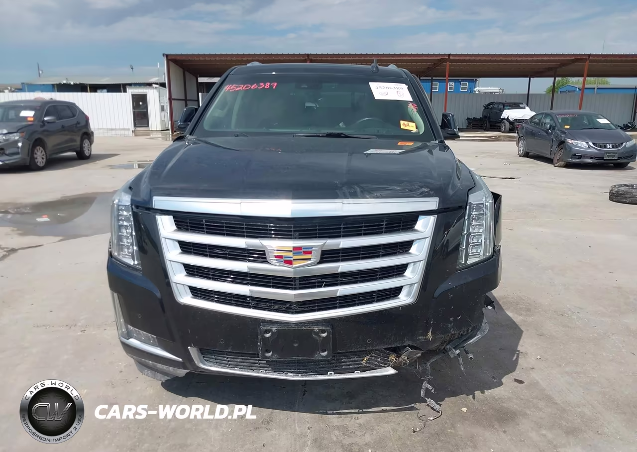 2019 Cadillac Escalade Luxury VIN:1GYS3BKJ1KR224081 - 18