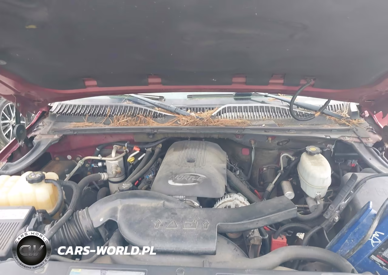 2004 Chevrolet Suburban 1500 Lt VIN:1GNEC16Z34J164360 - 10