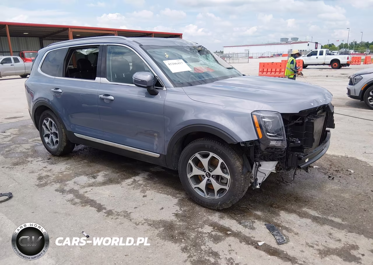 2021 Kia Telluride Ex VIN:5XYP34HC6MG178331 - 1