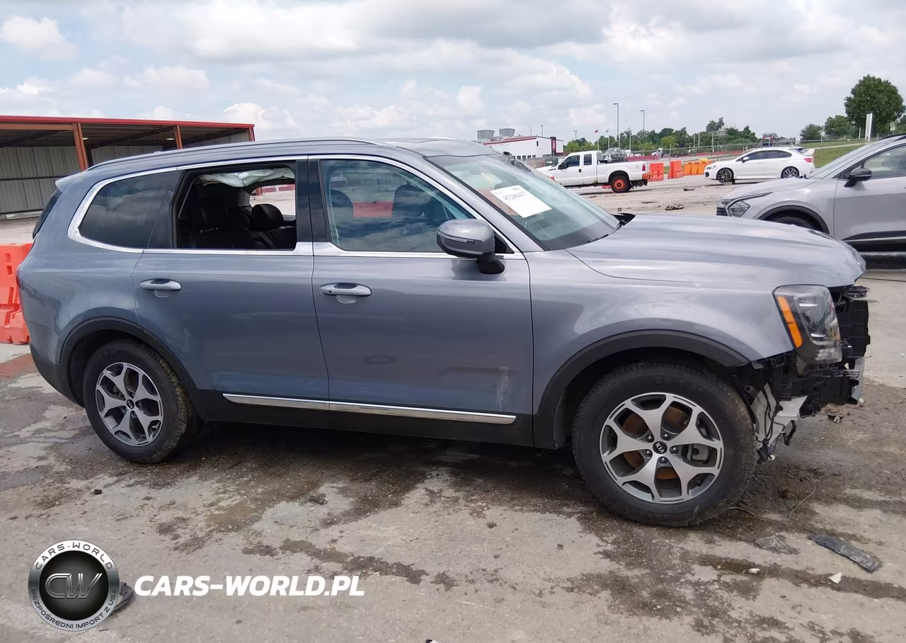 2021 Kia Telluride Ex VIN:5XYP34HC6MG178331 - 16